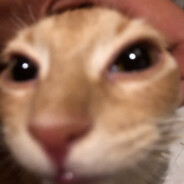 Steam Community Avatar Steam Community Avatar