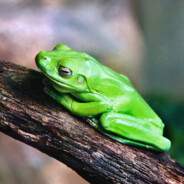 Steam Community Avatar Steam Community Avatar