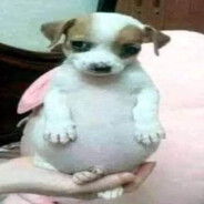 Steam Community Avatar Steam Community Avatar