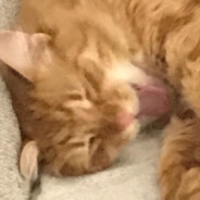 Steam Community Avatar Steam Community Avatar