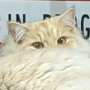 Steam Community Avatar Steam Community Avatar