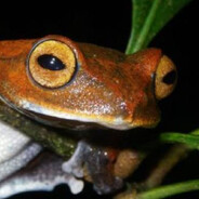 Steam Community Avatar Steam Community Avatar