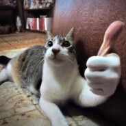 Steam Community Avatar Steam Community Avatar