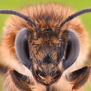 Steam Community Avatar Steam Community Avatar