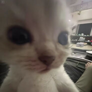 Steam Community Avatar Steam Community Avatar