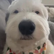 Steam Community Avatar Steam Community Avatar