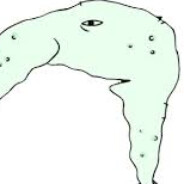 Steam Community Avatar Steam Community Avatar