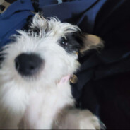 Steam Community Avatar Steam Community Avatar