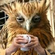 Steam Community Avatar Steam Community Avatar