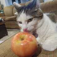 Steam Community Avatar Steam Community Avatar