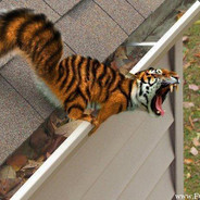 Steam Community Avatar Steam Community Avatar