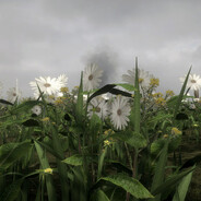 Steam Community Avatar Steam Community Avatar