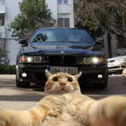 Steam Community Avatar Steam Community Avatar