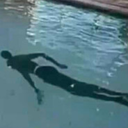 Steam Community Avatar Steam Community Avatar