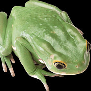 Steam Community Avatar Steam Community Avatar