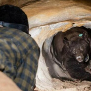 Steam Community Avatar Steam Community Avatar