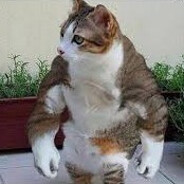 Steam Community Avatar Steam Community Avatar