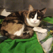 Steam Community Avatar Steam Community Avatar