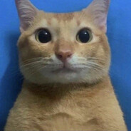 Steam Community Avatar Steam Community Avatar