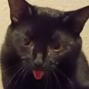 Steam Community Avatar Steam Community Avatar