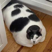 Steam Community Avatar Steam Community Avatar