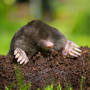 Steam Community Avatar Steam Community Avatar