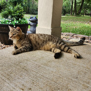 Steam Community Avatar Steam Community Avatar