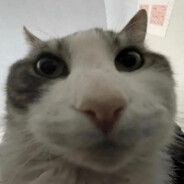 Steam Community Avatar Steam Community Avatar