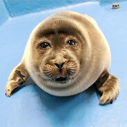 Steam Community Avatar Steam Community Avatar