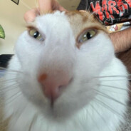 Steam Community Avatar Steam Community Avatar