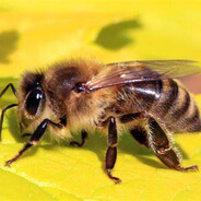 Steam Community Avatar Steam Community Avatar