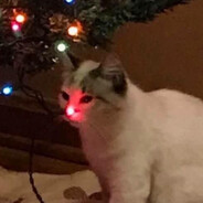 Steam Community Avatar Steam Community Avatar