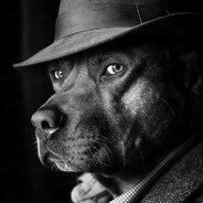 Steam Community Avatar Steam Community Avatar