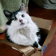 Steam Community Avatar Steam Community Avatar