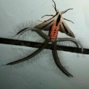 Steam Community Avatar Steam Community Avatar