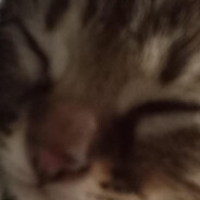 Steam Community Avatar Steam Community Avatar