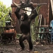 Steam Community Avatar Steam Community Avatar