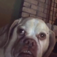 Steam Community Avatar Steam Community Avatar