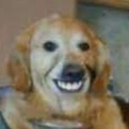 Steam Community Avatar Steam Community Avatar