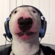 Steam Community Avatar Steam Community Avatar