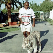 Steam Community Avatar Steam Community Avatar