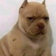 Steam Community Avatar Steam Community Avatar