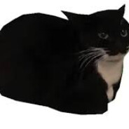 Steam Community Avatar Steam Community Avatar