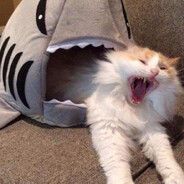 Steam Community Avatar Steam Community Avatar