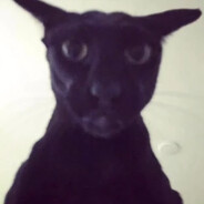 Steam Community Avatar Steam Community Avatar