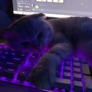 Steam Community Avatar Steam Community Avatar