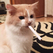 Steam Community Avatar Steam Community Avatar