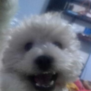 Steam Community Avatar Steam Community Avatar