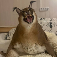 Steam Community Avatar Steam Community Avatar