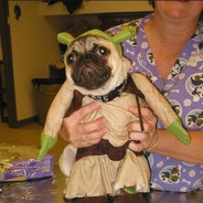 Steam Community Avatar Steam Community Avatar